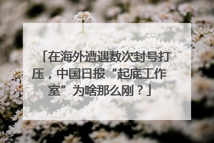 在海外遭遇数次封号打压，中国日报“起底工作室”为啥那么刚？