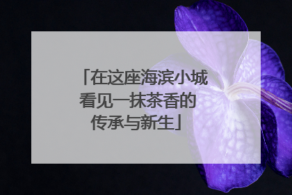在这座海滨小城 看见一抹茶香的传承与新生