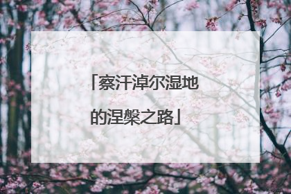 察汗淖尔湿地的涅槃之路