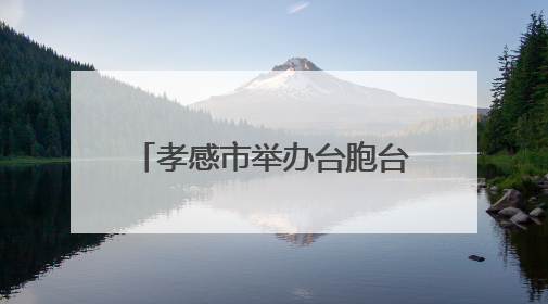 孝感市举办台胞台属端午联谊暨“美丽孝感行”活动