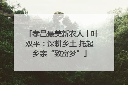 孝昌最美新农人丨叶双平：深耕乡土 托起乡亲“致富梦”