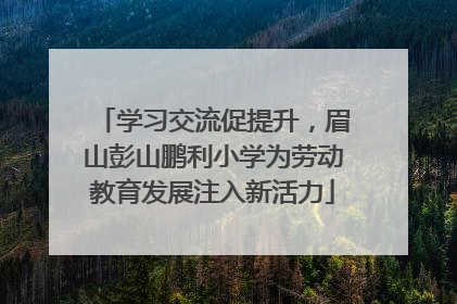 学习交流促提升，眉山彭山鹏利小学为劳动教育发展注入新活力