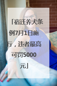 宿迁养犬条例7月1日施行，违者最高可罚5000元