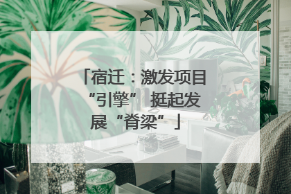 宿迁：激发项目“引擎” 挺起发展“脊梁”