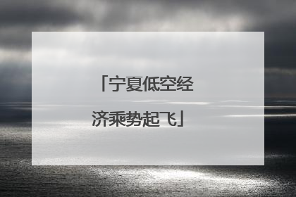 宁夏低空经济乘势起飞
