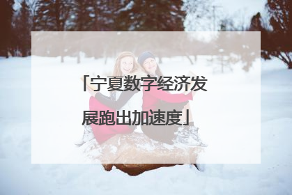 宁夏数字经济发展跑出加速度