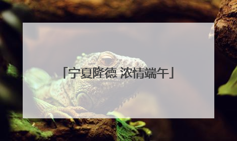 宁夏隆德 浓情端午