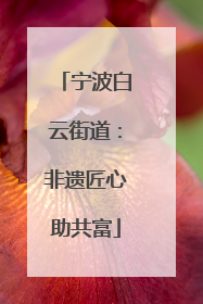 宁波白云街道：非遗匠心助共富