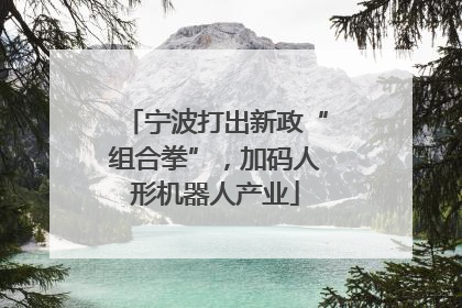 宁波打出新政“组合拳”，加码人形机器人产业
