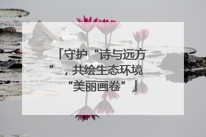 守护“诗与远方”，共绘生态环境“美丽画卷”