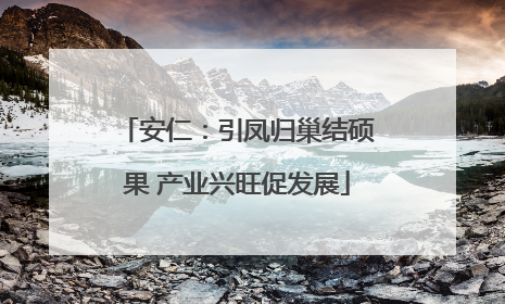 安仁：引凤归巢结硕果 产业兴旺促发展