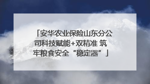 安华农业保险山东分公司科技赋能+双精准 筑牢粮食安全“稳定器”