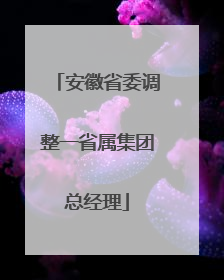 安徽省委调整一省属集团总经理