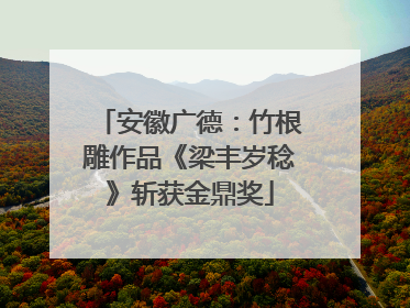 安徽广德：竹根雕作品《梁丰岁稔》斩获金鼎奖