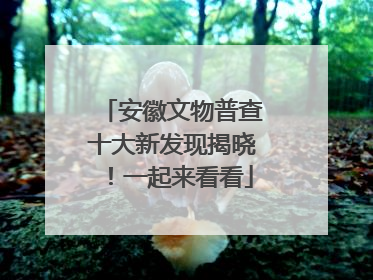 安徽文物普查十大新发现揭晓！一起来看看