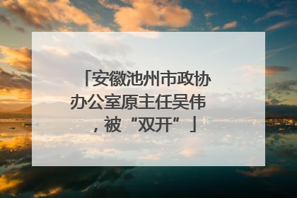 安徽池州市政协办公室原主任吴伟，被“双开”