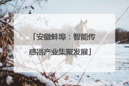 安徽蚌埠：智能传感器产业集聚发展