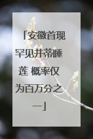 安徽首现罕见并蒂睡莲 概率仅为百万分之一
