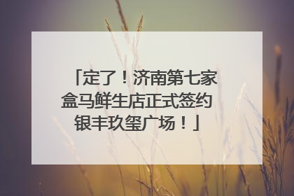 定了！济南第七家盒马鲜生店正式签约银丰玖玺广场！
