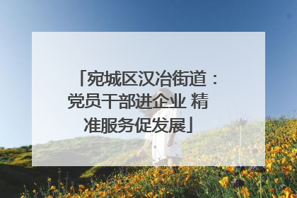 宛城区汉冶街道：党员干部进企业 精准服务促发展