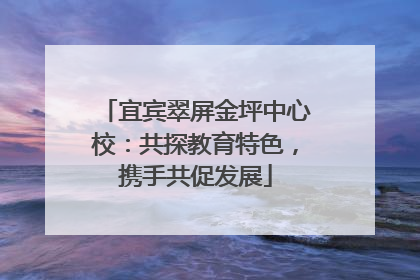宜宾翠屏金坪中心校：共探教育特色，携手共促发展