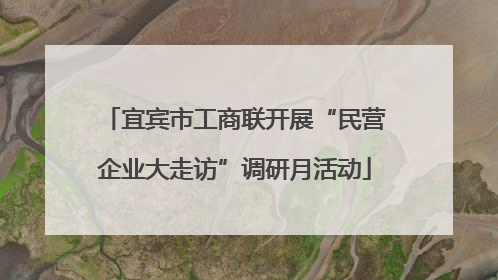 宜宾市工商联开展“民营企业大走访”调研月活动
