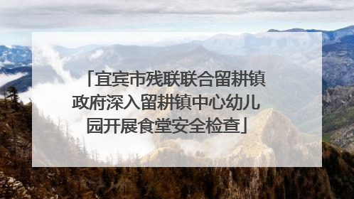 宜宾市残联联合留耕镇政府深入留耕镇中心幼儿园开展食堂安全检查