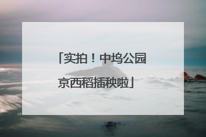实拍！中坞公园京西稻插秧啦