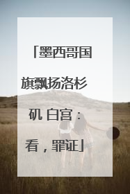 墨西哥国旗飘扬洛杉矶 白宫:看,罪证