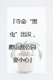 夺命“黑虫”出没，爬山逛公园要小心