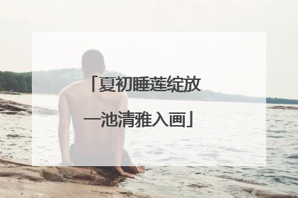 夏初睡莲绽放 一池清雅入画