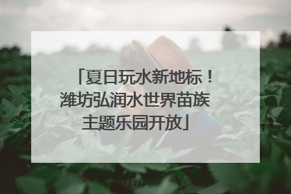 夏日玩水新地标！潍坊弘润水世界苗族主题乐园开放