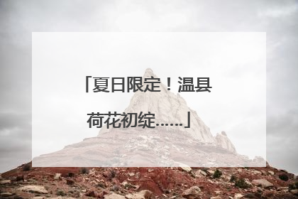 夏日限定！温县荷花初绽……