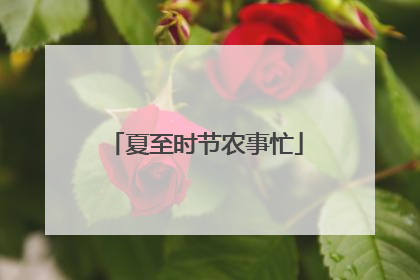 夏至时节农事忙