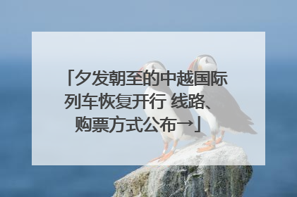 夕发朝至的中越国际列车恢复开行 线路、购票方式公布→
