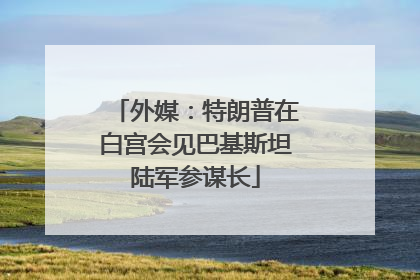 外媒：特朗普在白宫会见巴基斯坦陆军参谋长