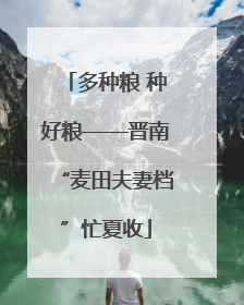 多种粮 种好粮——晋南“麦田夫妻档”忙夏收