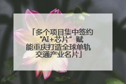 多个项目集中签约 “AI+芯片”赋能重庆打造全球单轨交通产业名片