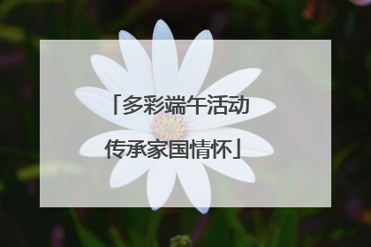 多彩端午活动 传承家国情怀