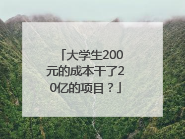 大学生200元的成本干了20亿的项目？