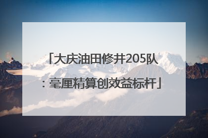 大庆油田修井205队：毫厘精算创效益标杆