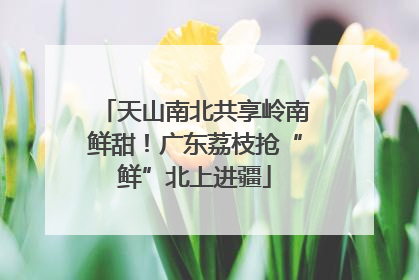 天山南北共享岭南鲜甜！广东荔枝抢“鲜”北上进疆