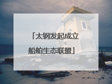 太钢发起成立船舶生态联盟