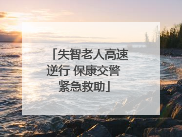 失智老人高速逆行 保康交警紧急救助