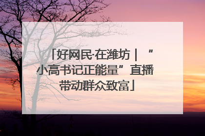 好网民·在潍坊｜“小高书记正能量”直播 带动群众致富