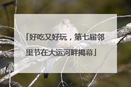 好吃又好玩，第七届邻里节在大运河畔揭幕