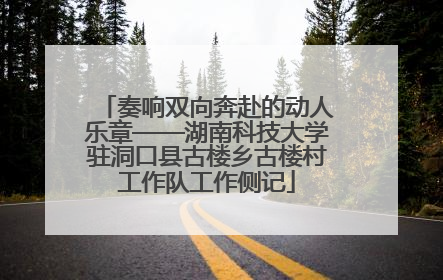 奏响双向奔赴的动人乐章——湖南科技大学驻洞口县古楼乡古楼村工作队工作侧记