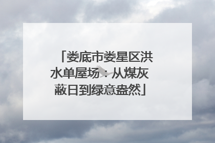 娄底市娄星区洪水单屋场：从煤灰蔽日到绿意盎然