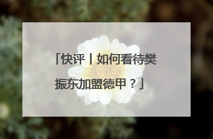 快评丨如何看待樊振东加盟德甲？