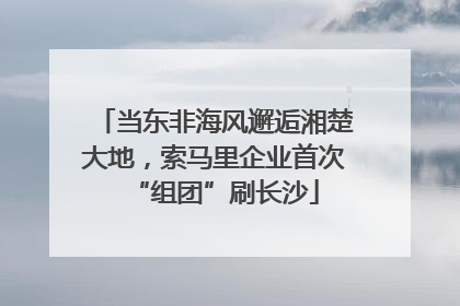 当东非海风邂逅湘楚大地，索马里企业首次“组团”刷长沙